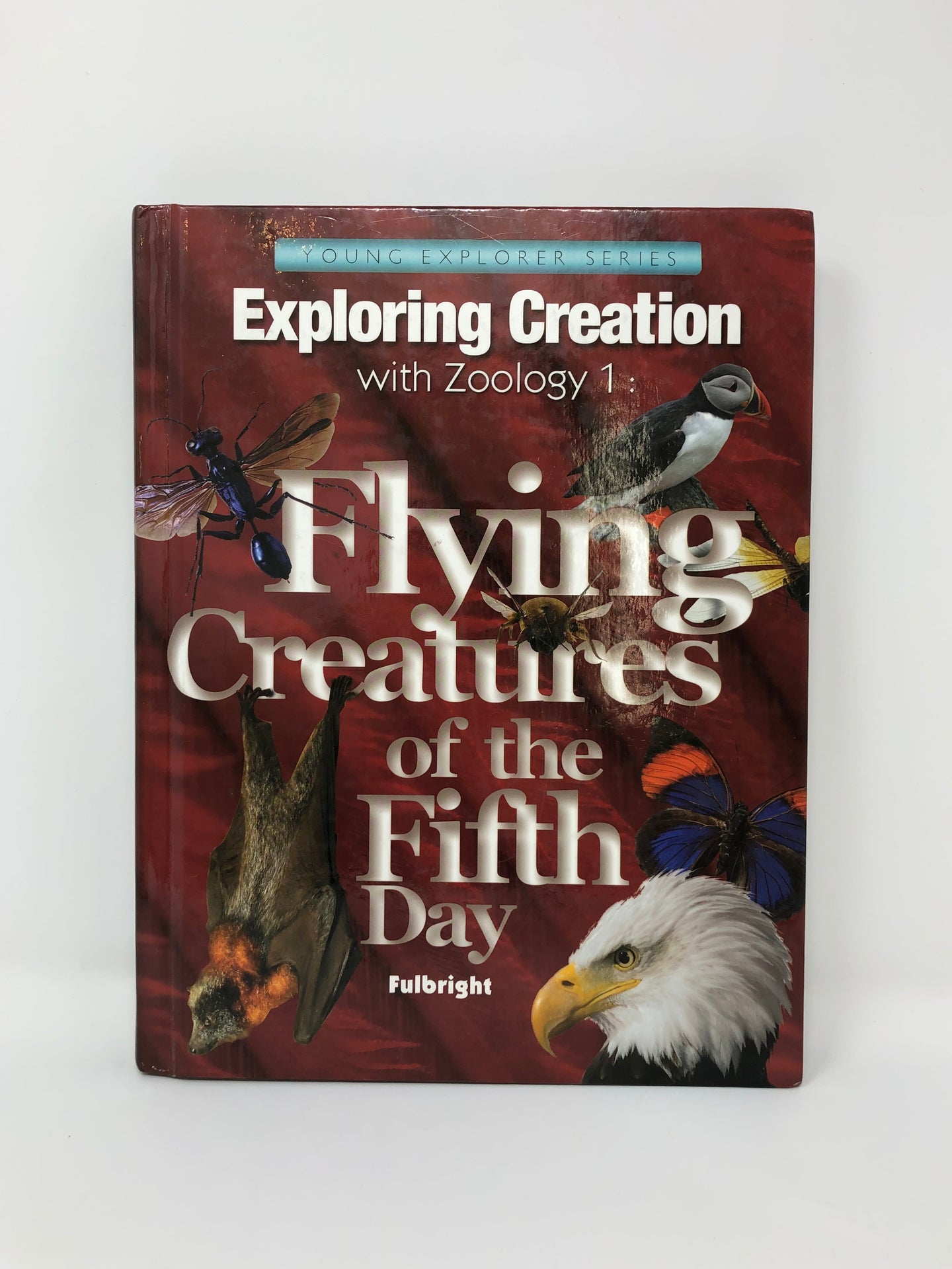 Exploring Creation with Zoology 1, Flying Creatures of the Fifth Day - Young Explorer Series (Used-Good) - Little Green Schoolhouse Books