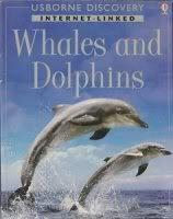 Whales and Dolphins (Usborne Discovery) (Used-Good)