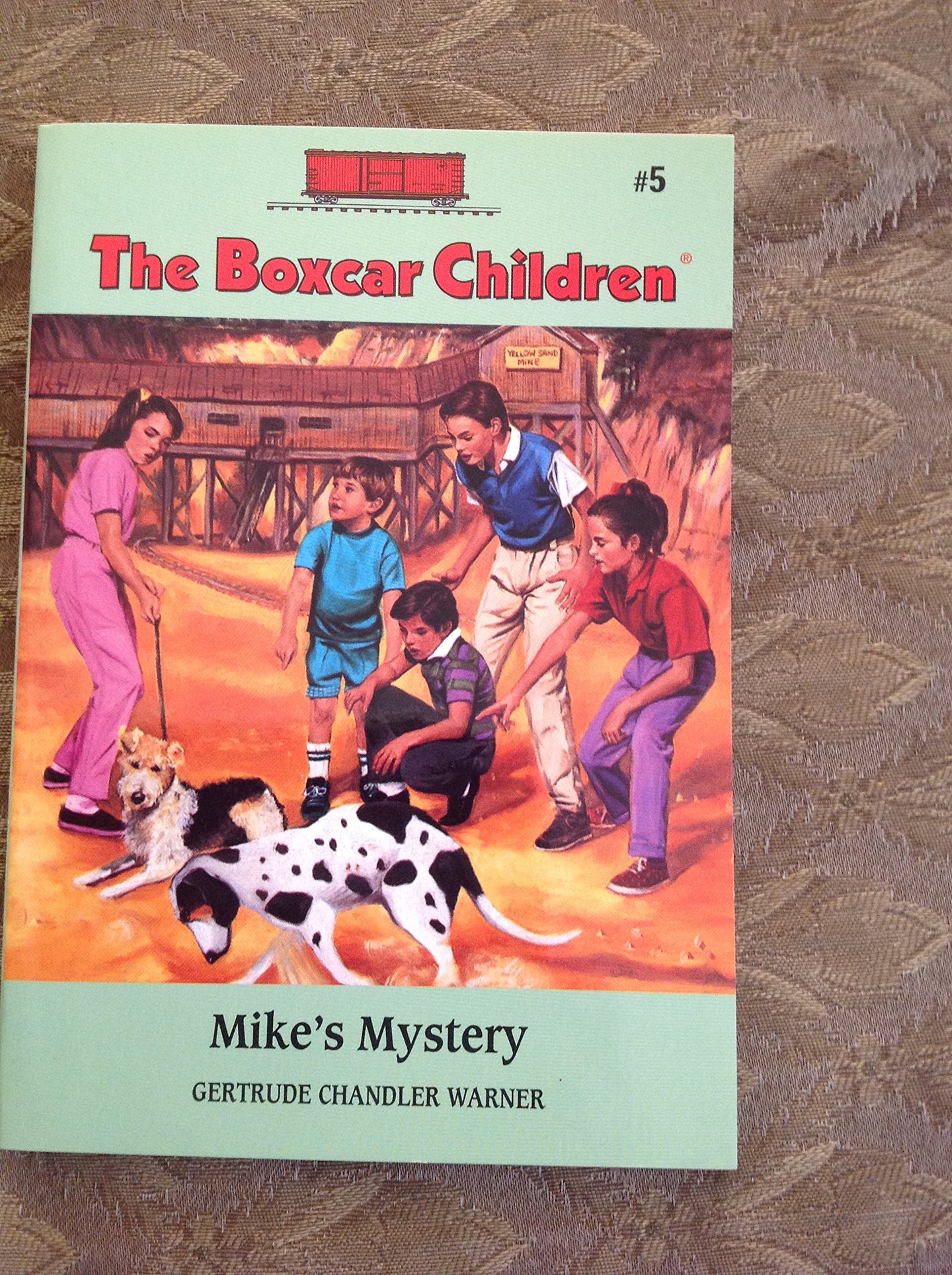 Mike's Mystery (The Boxcar Children book 5) (Used) - Little Green Schoolhouse Books