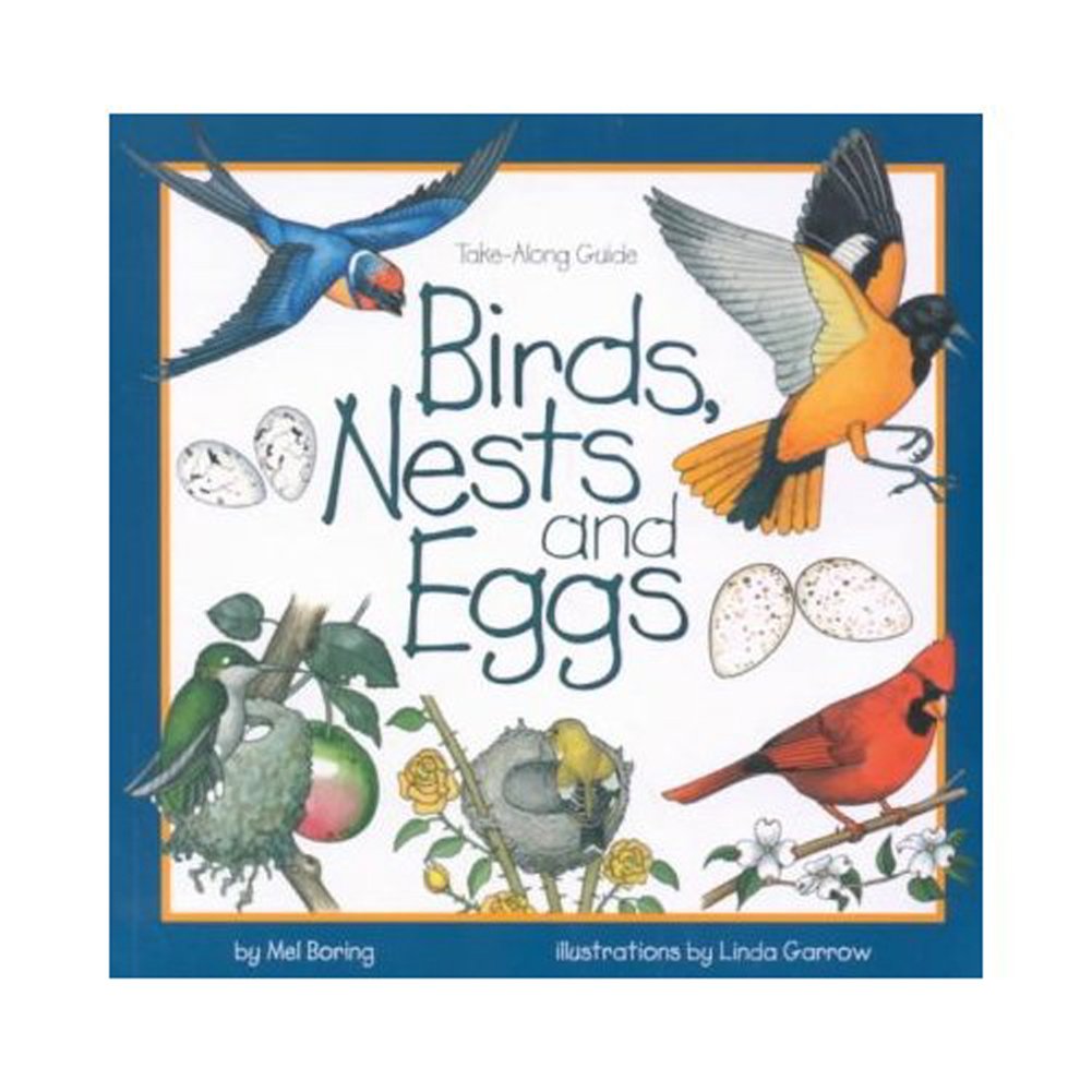 Birds, Nests, and Eggs Take Along Guide By Mel Boring (Used-Good) - Little Green Schoolhouse Books