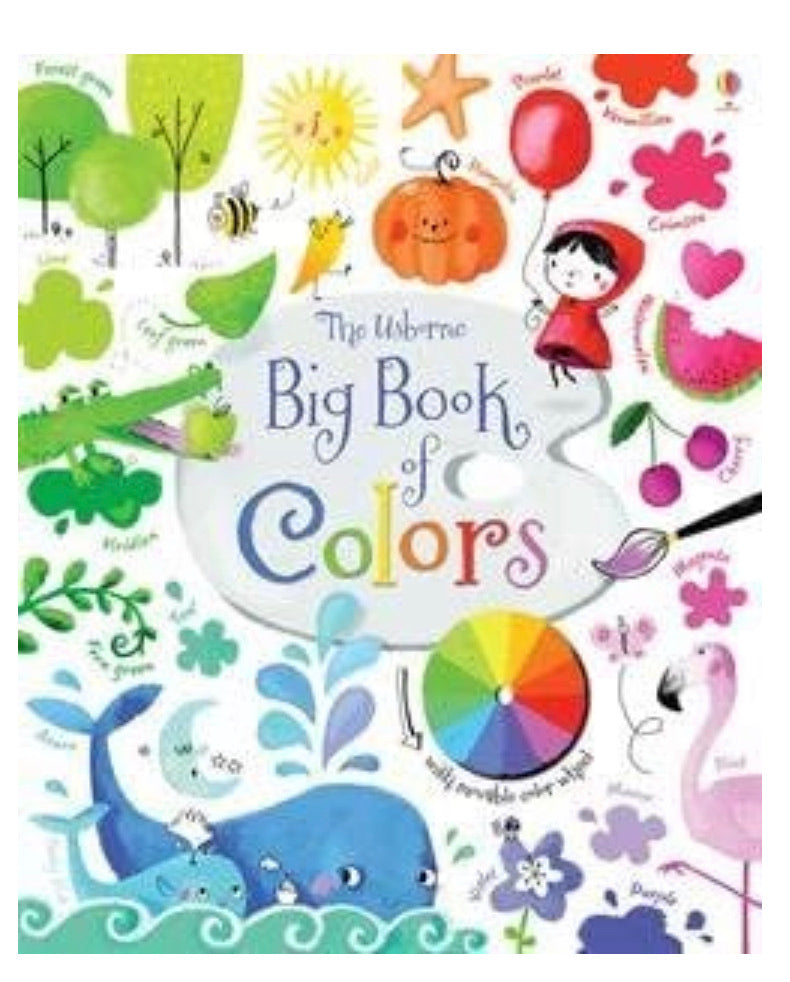 The Usborne Big Book of Colors (Used-Like New)