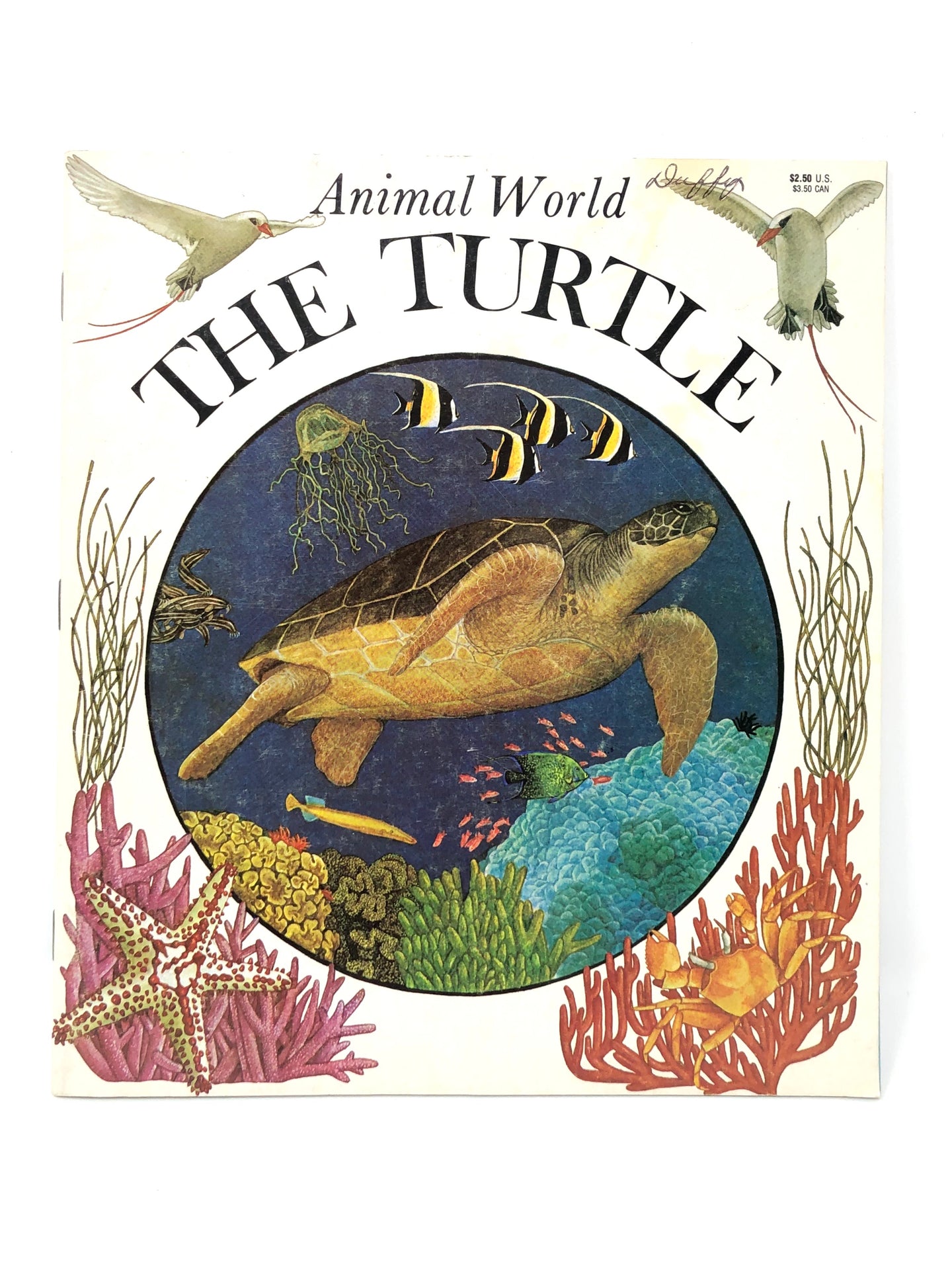 Animal World: The Turtle-Watermill Press (Used-Good) - Little Green Schoolhouse Books