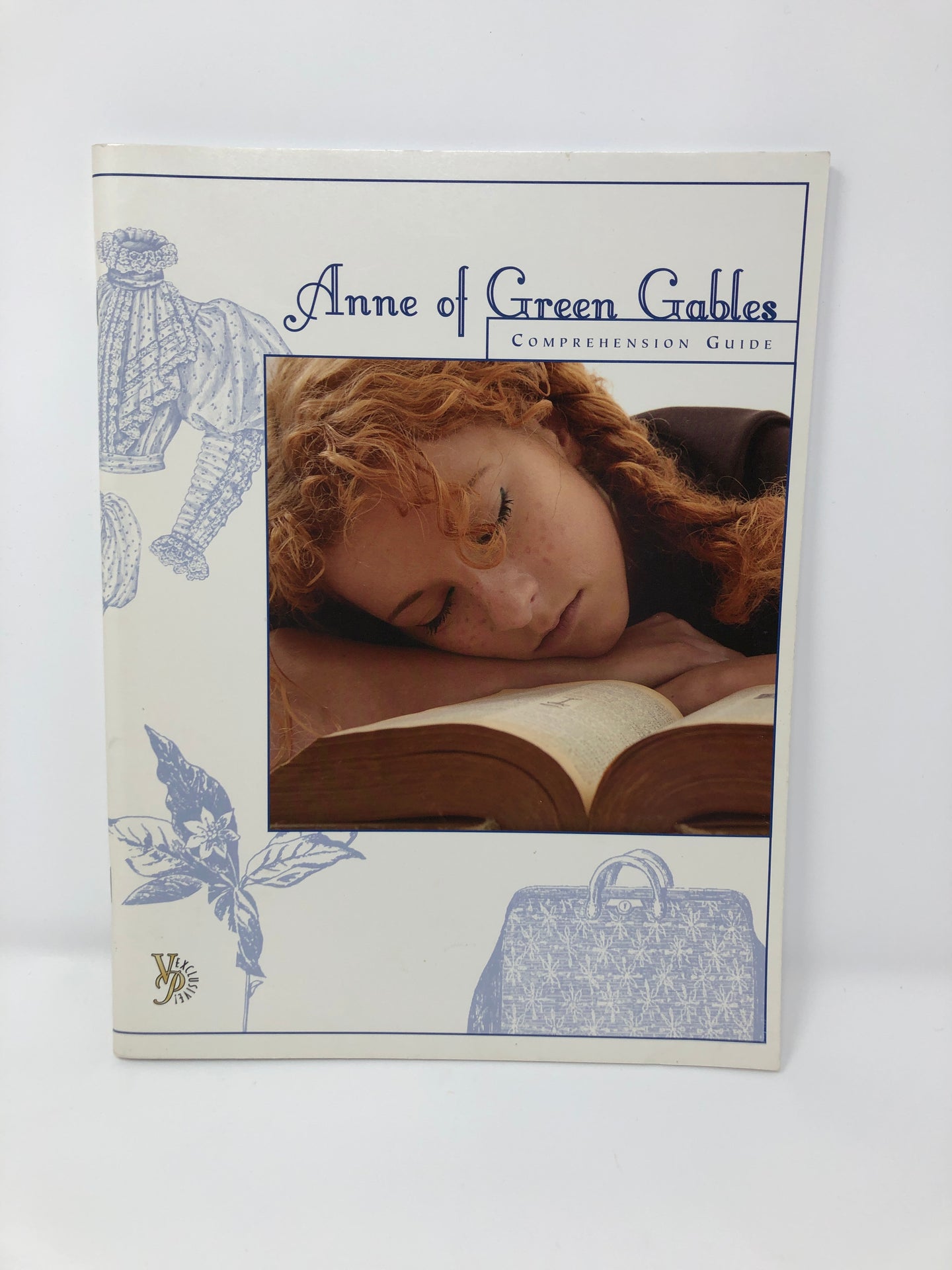 Anne of Green Gables Comprehension Guide (Used-Like New) - Little Green Schoolhouse Books