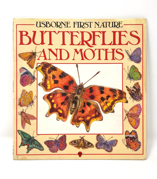 Butterflies and Moths-Usborne First Nature (Used-Worn/Acceptable) - Little Green Schoolhouse Books