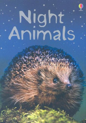 Night Animals - Usborne Beginners (Used) - Little Green Schoolhouse Books