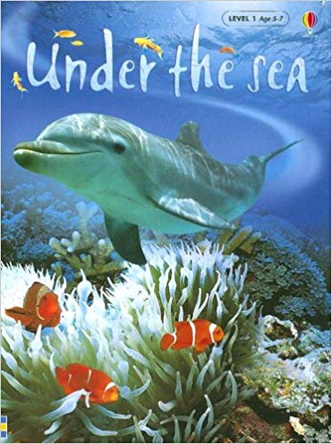 Under the Sea- Usborne Beginners (used) - Little Green Schoolhouse Books